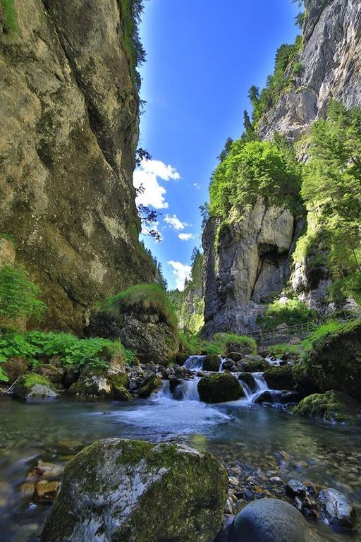Alpenhotel La Montanara Рокка-Пьеторе Экстерьер фото